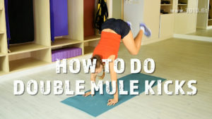How to do Double Mule Kicks