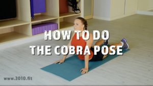 Cobra Pose