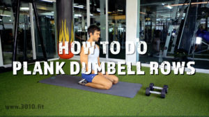 Plank Dumbell Rows
